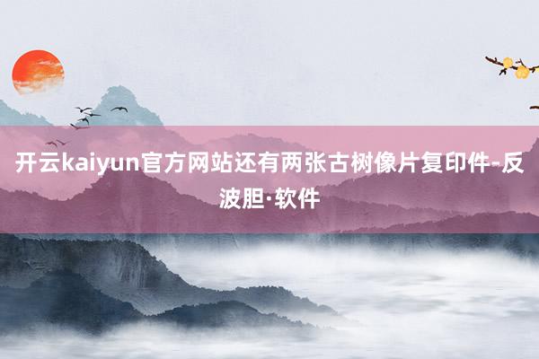 开云kaiyun官方网站还有两张古树像片复印件-反波胆·软件