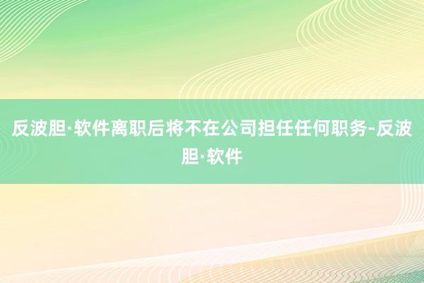 反波胆·软件离职后将不在公司担任任何职务-反波胆·软件