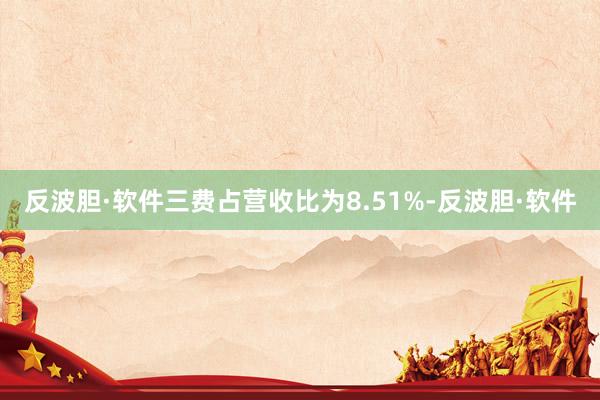 反波胆·软件三费占营收比为8.51%-反波胆·软件