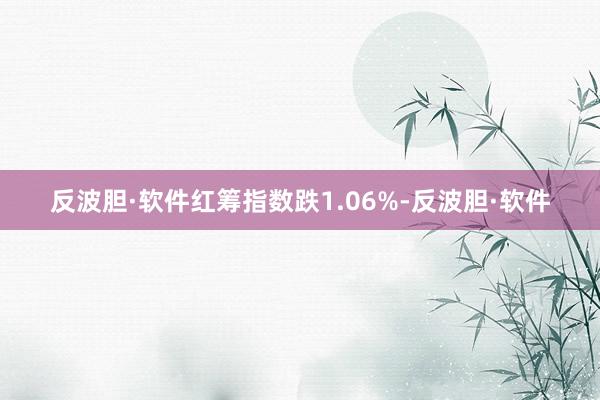 反波胆·软件红筹指数跌1.06%-反波胆·软件