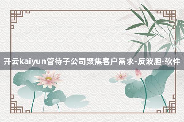 开云kaiyun管待子公司聚焦客户需求-反波胆·软件