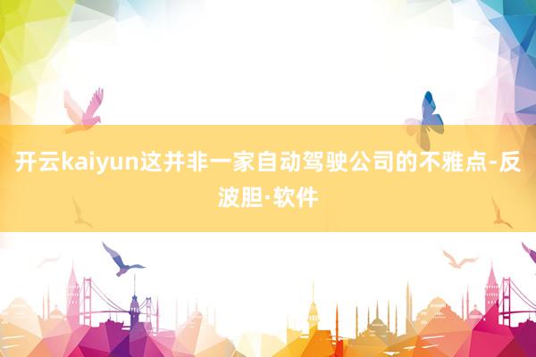 开云kaiyun这并非一家自动驾驶公司的不雅点-反波胆·软件