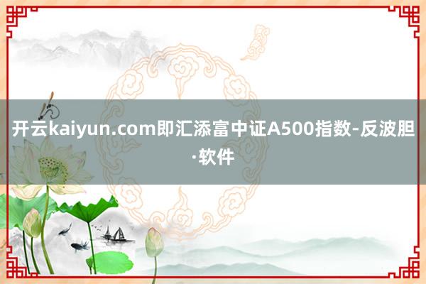开云kaiyun.com即汇添富中证A500指数-反波胆·软件