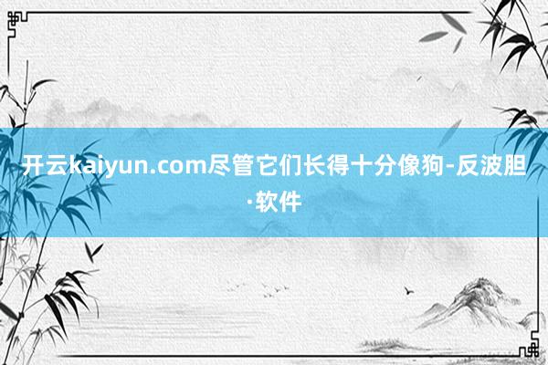 开云kaiyun.com尽管它们长得十分像狗-反波胆·软件