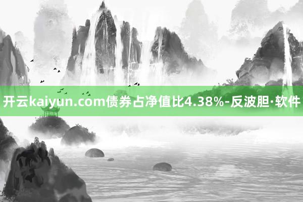 开云kaiyun.com债券占净值比4.38%-反波胆·软件