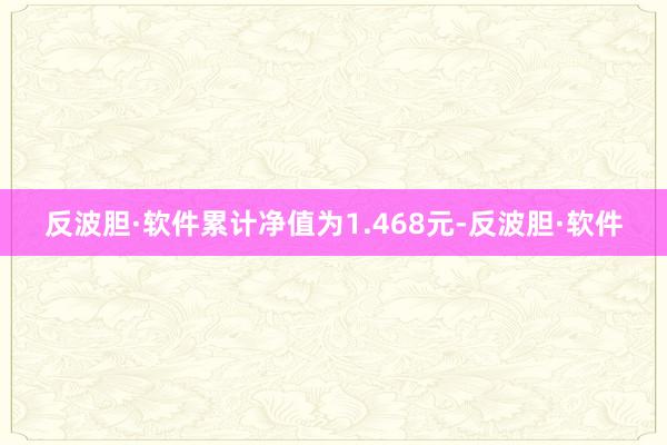 反波胆·软件累计净值为1.468元-反波胆·软件