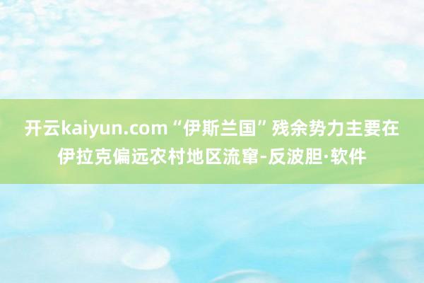 开云kaiyun.com“伊斯兰国”残余势力主要在伊拉克偏远农村地区流窜-反波胆·软件