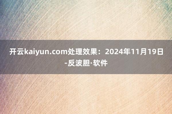 开云kaiyun.com处理效果：2024年11月19日-反波胆·软件