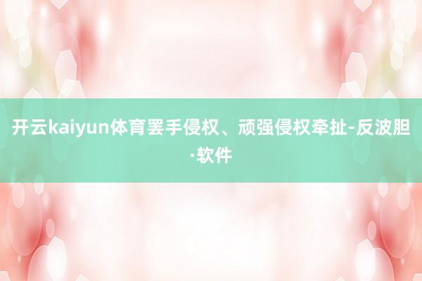 开云kaiyun体育罢手侵权、顽强侵权牵扯-反波胆·软件