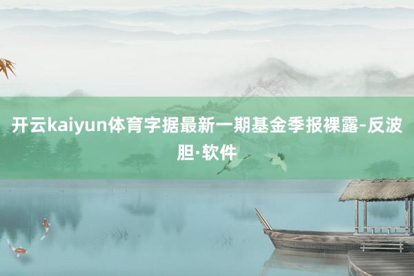 开云kaiyun体育字据最新一期基金季报裸露-反波胆·软件