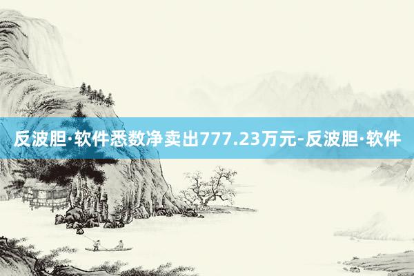 反波胆·软件悉数净卖出777.23万元-反波胆·软件