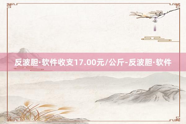 反波胆·软件收支17.00元/公斤-反波胆·软件