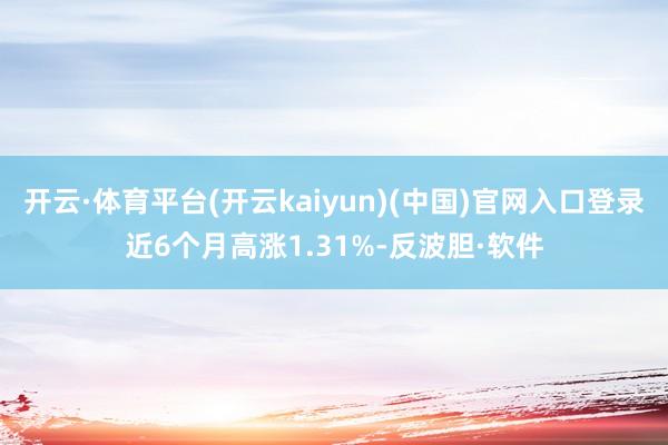 开云·体育平台(开云kaiyun)(中国)官网入口登录近6个月高涨1.31%-反波胆·软件