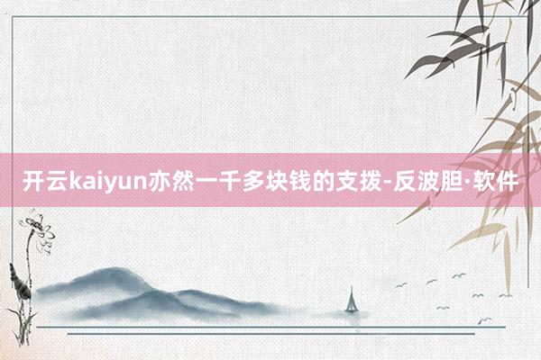 开云kaiyun亦然一千多块钱的支拨-反波胆·软件