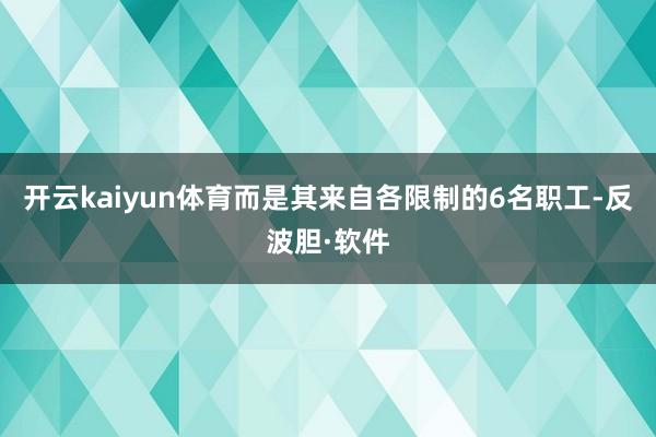 开云kaiyun体育而是其来自各限制的6名职工-反波胆·软件