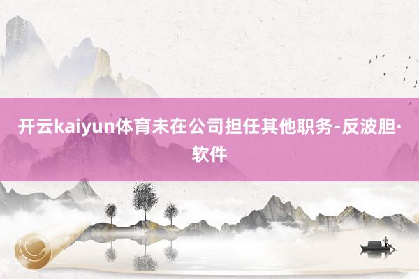 开云kaiyun体育未在公司担任其他职务-反波胆·软件