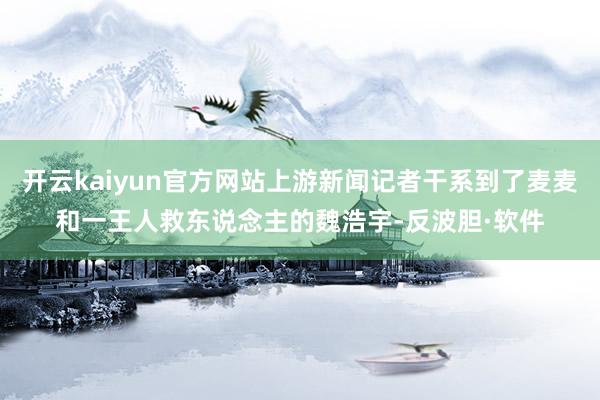 开云kaiyun官方网站上游新闻记者干系到了麦麦和一王人救东说念主的魏浩宇-反波胆·软件