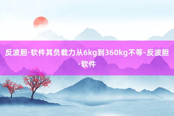 反波胆·软件其负载力从6kg到360kg不等-反波胆·软件