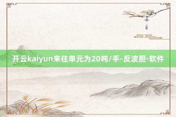 开云kaiyun来往单元为20吨/手-反波胆·软件