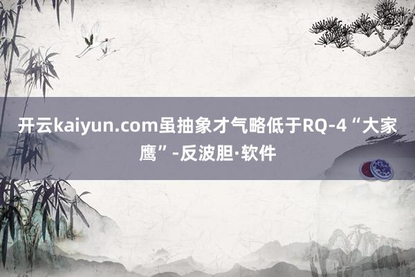 开云kaiyun.com虽抽象才气略低于RQ-4“大家鹰”-反波胆·软件