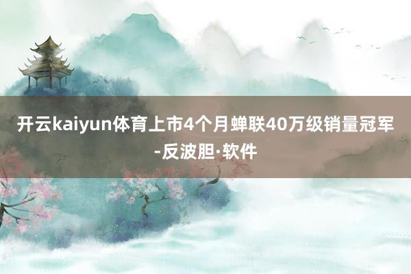 开云kaiyun体育上市4个月蝉联40万级销量冠军-反波胆·软件