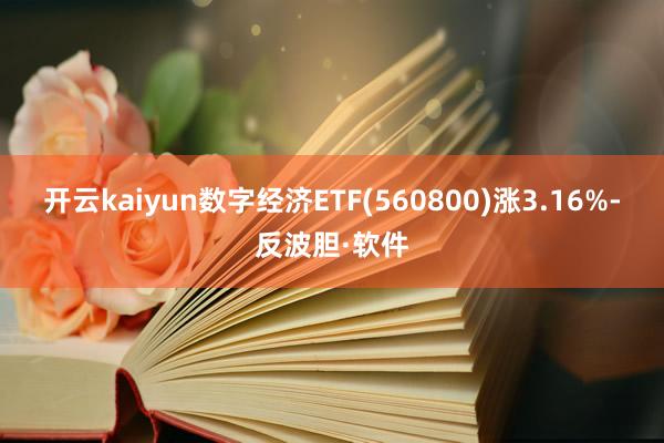 开云kaiyun数字经济ETF(560800)涨3.16%-反波胆·软件