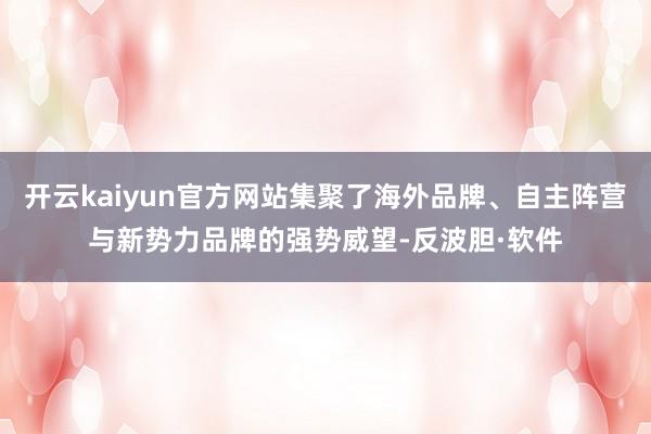 开云kaiyun官方网站集聚了海外品牌、自主阵营与新势力品牌的强势威望-反波胆·软件