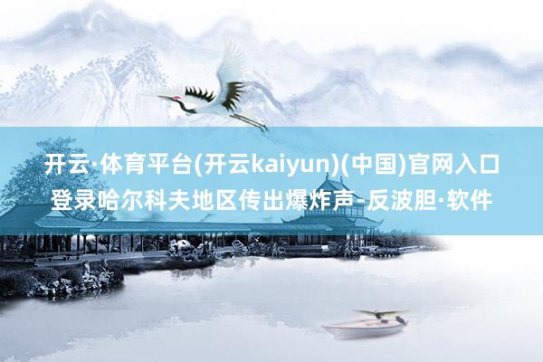 开云·体育平台(开云kaiyun)(中国)官网入口登录哈尔科夫地区传出爆炸声-反波胆·软件