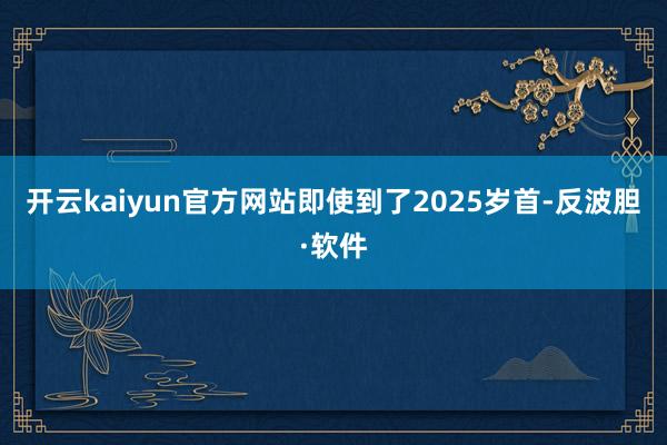 开云kaiyun官方网站即使到了2025岁首-反波胆·软件