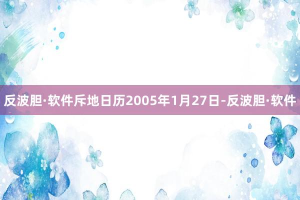 反波胆·软件斥地日历2005年1月27日-反波胆·软件