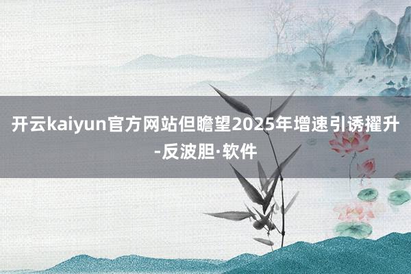 开云kaiyun官方网站但瞻望2025年增速引诱擢升-反波胆·软件
