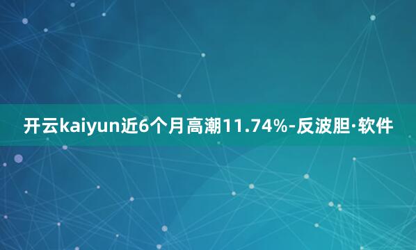 开云kaiyun近6个月高潮11.74%-反波胆·软件