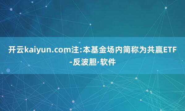 开云kaiyun.com注:本基金场内简称为共赢ETF-反波胆·软件