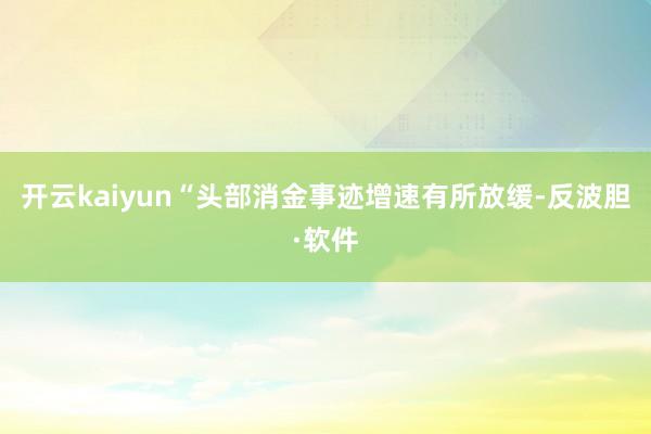 开云kaiyun“头部消金事迹增速有所放缓-反波胆·软件