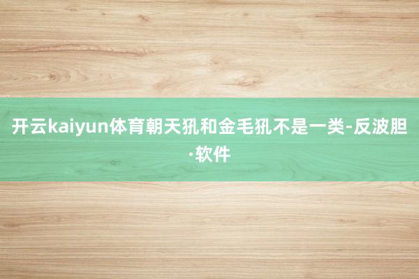开云kaiyun体育朝天犼和金毛犼不是一类-反波胆·软件