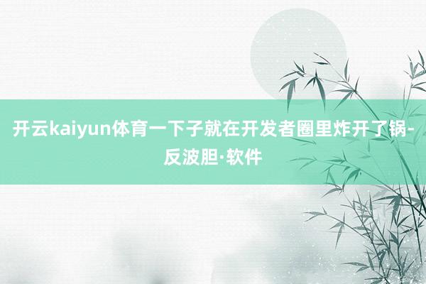 开云kaiyun体育一下子就在开发者圈里炸开了锅-反波胆·软件