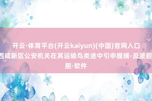 开云·体育平台(开云kaiyun)(中国)官网入口登录西咸新区公安机关在其运输鸟类途中引申握捕-反波胆·软件
