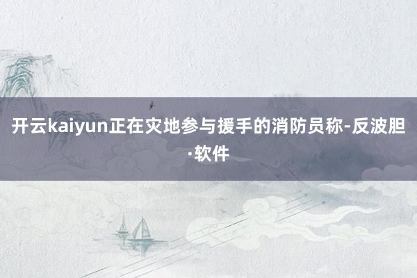 开云kaiyun正在灾地参与援手的消防员称-反波胆·软件