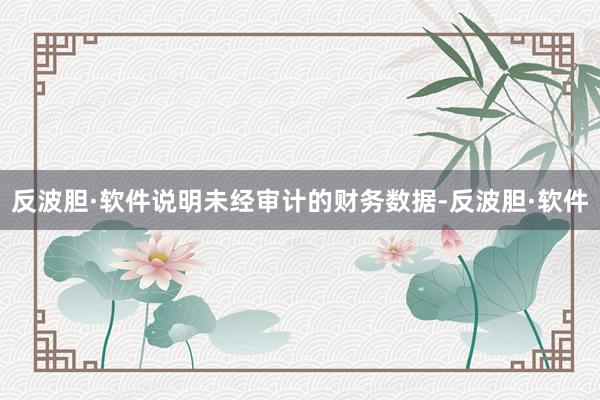 反波胆·软件说明未经审计的财务数据-反波胆·软件