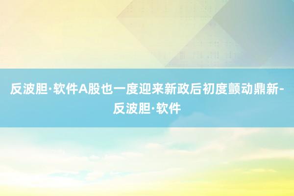 反波胆·软件A股也一度迎来新政后初度颤动鼎新-反波胆·软件