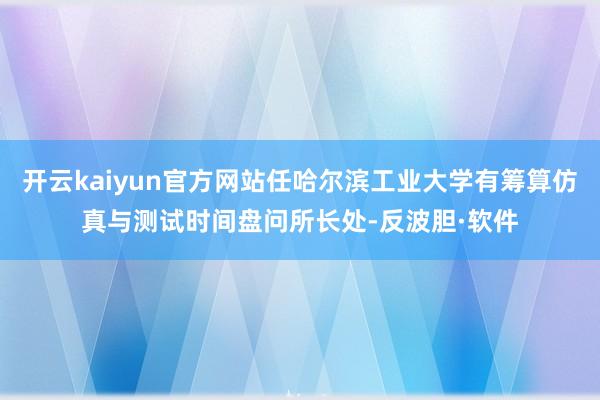 开云kaiyun官方网站任哈尔滨工业大学有筹算仿真与测试时间盘问所长处-反波胆·软件