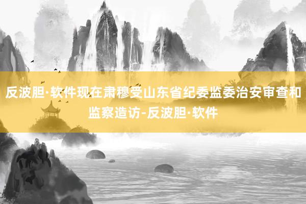 反波胆·软件现在肃穆受山东省纪委监委治安审查和监察造访-反波胆·软件