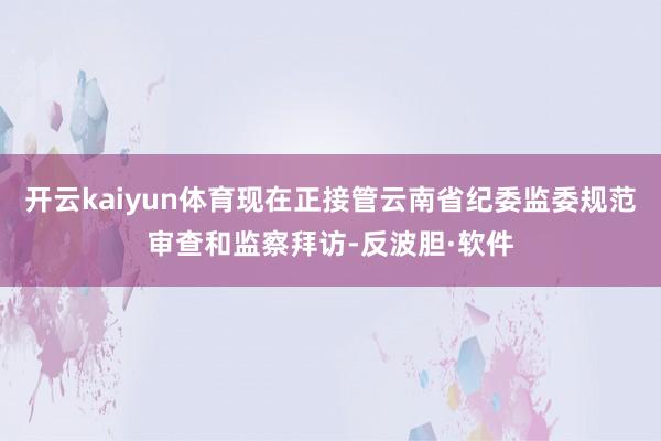 开云kaiyun体育现在正接管云南省纪委监委规范审查和监察拜访-反波胆·软件