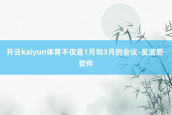 开云kaiyun体育不仅是1月和3月的会议-反波胆·软件