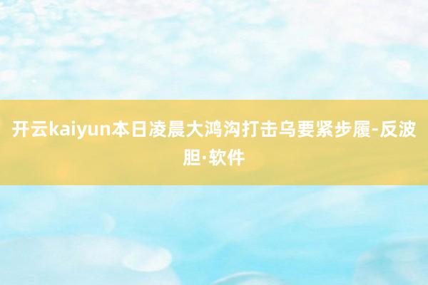 开云kaiyun本日凌晨大鸿沟打击乌要紧步履-反波胆·软件