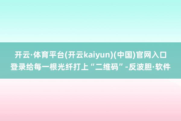 开云·体育平台(开云kaiyun)(中国)官网入口登录给每一根光纤打上“二维码”-反波胆·软件